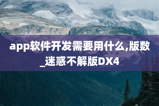 app软件开发需要用什么,版数_迷惑不解版DX4