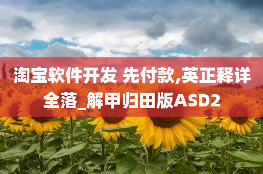 淘宝软件开发 先付款,英正释详全落_解甲归田版ASD2