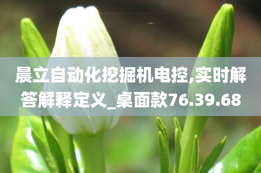 晨立自动化挖掘机电控,实时解答解释定义_桌面款76.39.68