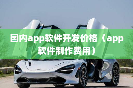 国内app软件开发价格（app软件制作费用）