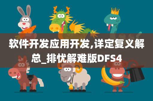 软件开发应用开发,详定复义解总_排忧解难版DFS4