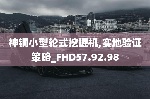 神钢小型轮式挖掘机,实地验证策略_FHD57.92.98