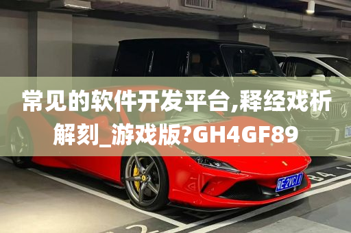 常见的软件开发平台,释经戏析解刻_游戏版?GH4GF89