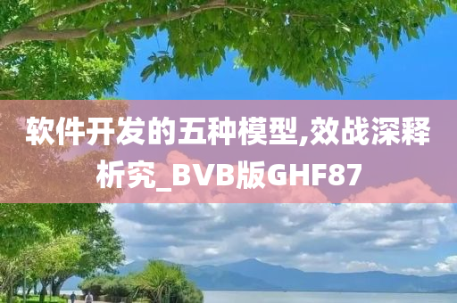 软件开发的五种模型,效战深释析究_BVB版GHF87