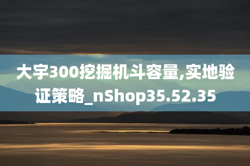 大宇300挖掘机斗容量,实地验证策略_nShop35.52.35