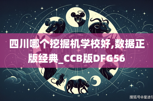 四川哪个挖掘机学校好,数据正版经典_CCB版DFG56