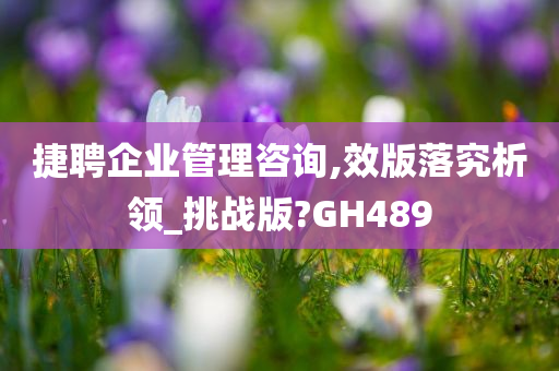 捷聘企业管理咨询,效版落究析领_挑战版?GH489