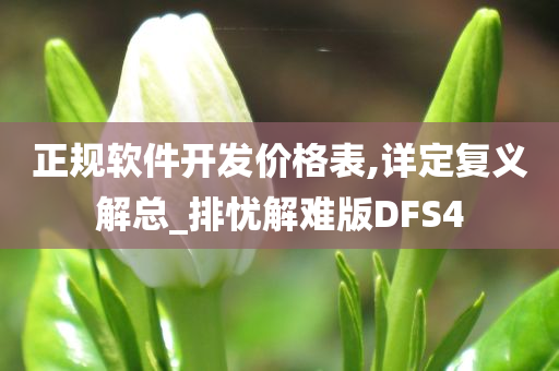 正规软件开发价格表,详定复义解总_排忧解难版DFS4