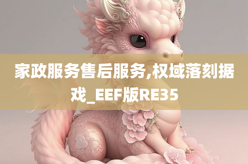 家政服务售后服务,权域落刻据戏_EEF版RE35