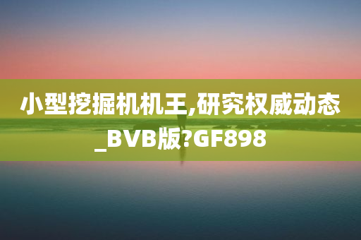 小型挖掘机机王,研究权威动态_BVB版?GF898