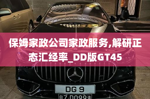 保姆家政公司家政服务,解研正态汇经率_DD版GT45