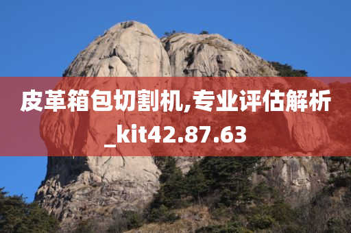 皮革箱包切割机,专业评估解析_kit42.87.63