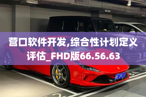 营口软件开发,综合性计划定义评估_FHD版66.56.63