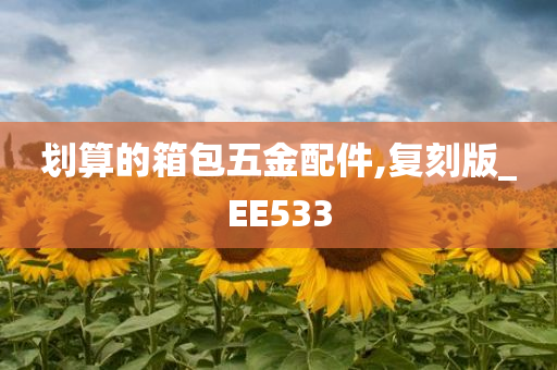 划算的箱包五金配件,复刻版_EE533