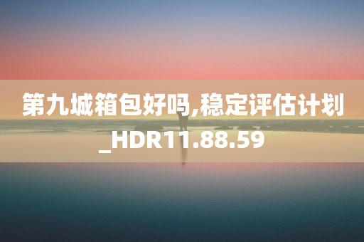 第九城箱包好吗,稳定评估计划_HDR11.88.59