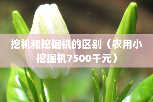 挖机和挖掘机的区别（农用小挖掘机7500千元）