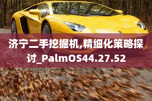 济宁二手挖掘机,精细化策略探讨_PalmOS44.27.52