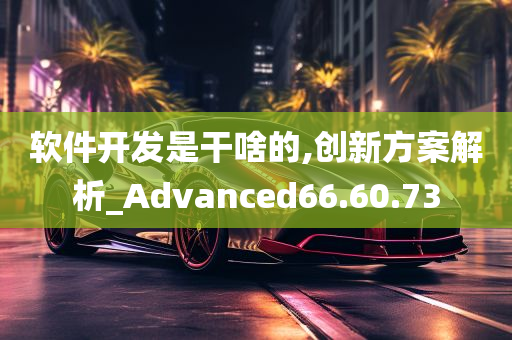 软件开发是干啥的,创新方案解析_Advanced66.60.73