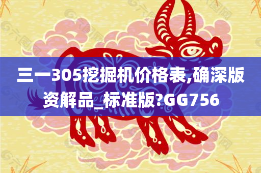 三一305挖掘机价格表,确深版资解品_标准版?GG756