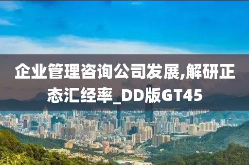 企业管理咨询公司发展,解研正态汇经率_DD版GT45