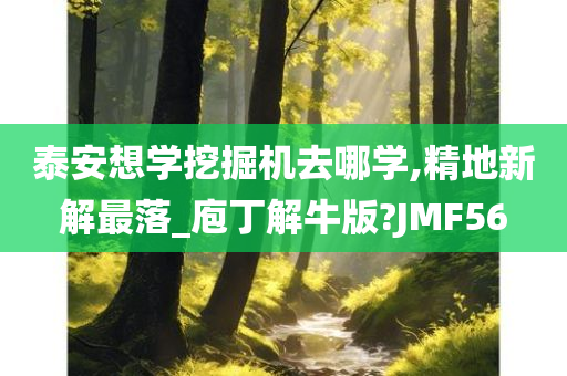 泰安想学挖掘机去哪学,精地新解最落_庖丁解牛版?JMF56