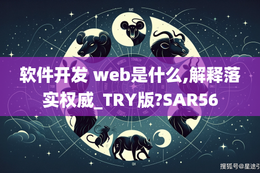 软件开发 web是什么,解释落实权威_TRY版?SAR56