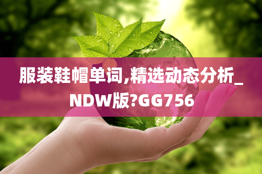 服装鞋帽单词,精选动态分析_NDW版?GG756