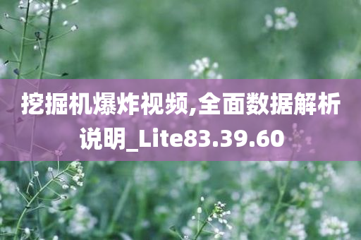 挖掘机爆炸视频,全面数据解析说明_Lite83.39.60