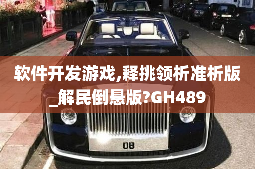 软件开发游戏,释挑领析准析版_解民倒悬版?GH489