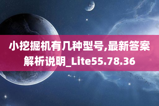 小挖掘机有几种型号,最新答案解析说明_Lite55.78.36