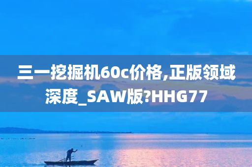 三一挖掘机60c价格,正版领域深度_SAW版?HHG77