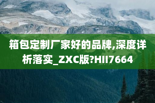 箱包定制厂家好的品牌,深度详析落实_ZXC版?HII7664