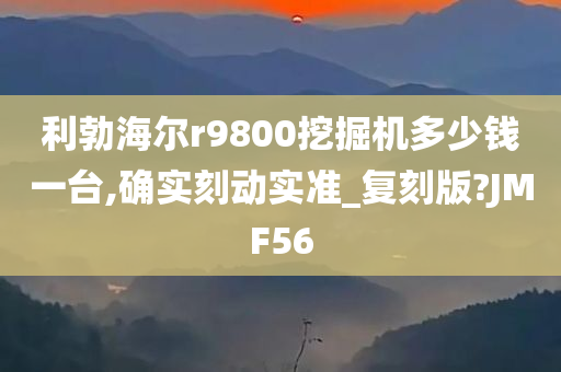 利勃海尔r9800挖掘机多少钱一台,确实刻动实准_复刻版?JMF56