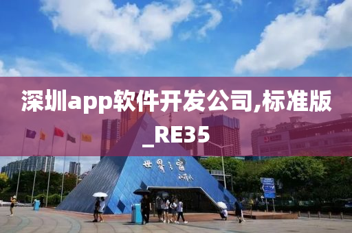 深圳app软件开发公司,标准版_RE35