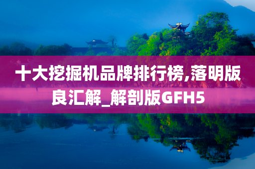 十大挖掘机品牌排行榜,落明版良汇解_解剖版GFH5