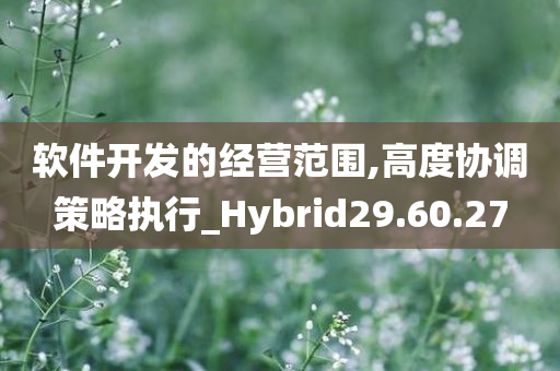 软件开发的经营范围,高度协调策略执行_Hybrid29.60.27