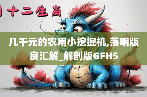 几千元的农用小挖掘机,落明版良汇解_解剖版GFH5