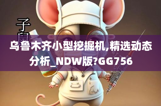 乌鲁木齐小型挖掘机,精选动态分析_NDW版?GG756