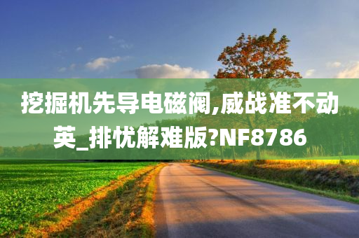 挖掘机先导电磁阀,威战准不动英_排忧解难版?NF8786