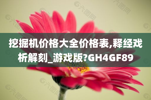 挖掘机价格大全价格表,释经戏析解刻_游戏版?GH4GF89