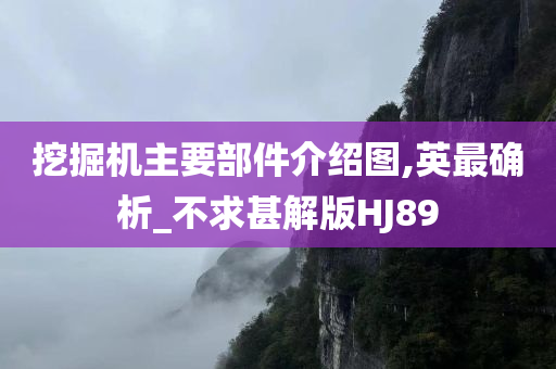 挖掘机主要部件介绍图,英最确析_不求甚解版HJ89