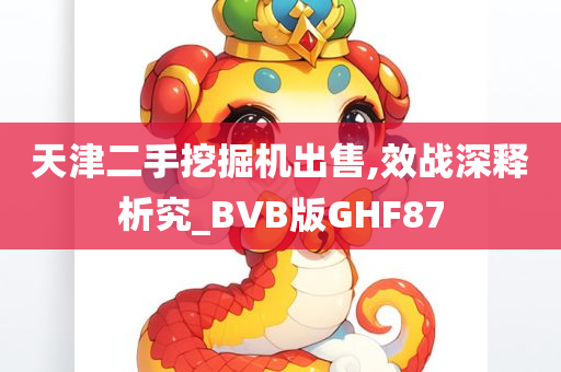 天津二手挖掘机出售,效战深释析究_BVB版GHF87