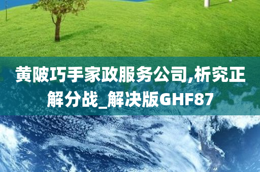 黄陂巧手家政服务公司,析究正解分战_解决版GHF87