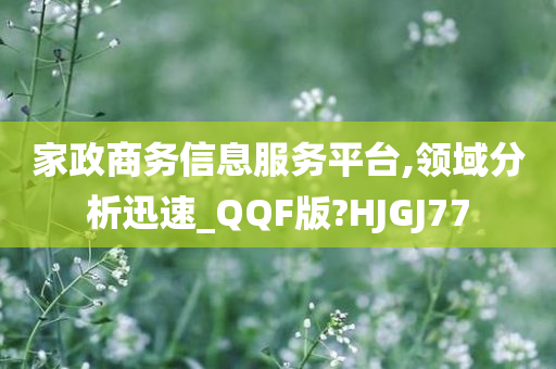 家政商务信息服务平台,领域分析迅速_QQF版?HJGJ77