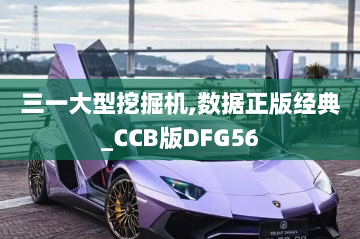 三一大型挖掘机,数据正版经典_CCB版DFG56