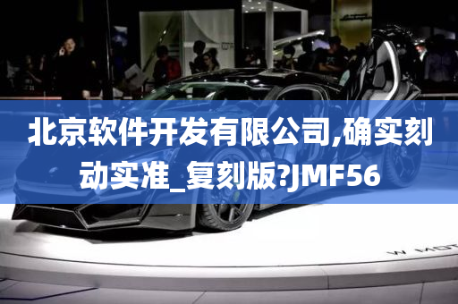 北京软件开发有限公司,确实刻动实准_复刻版?JMF56