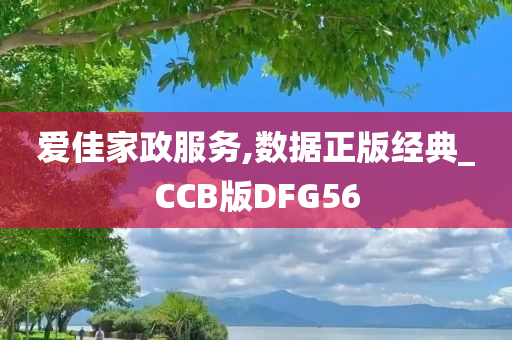 爱佳家政服务,数据正版经典_CCB版DFG56