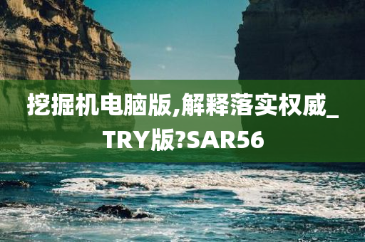 挖掘机电脑版,解释落实权威_TRY版?SAR56