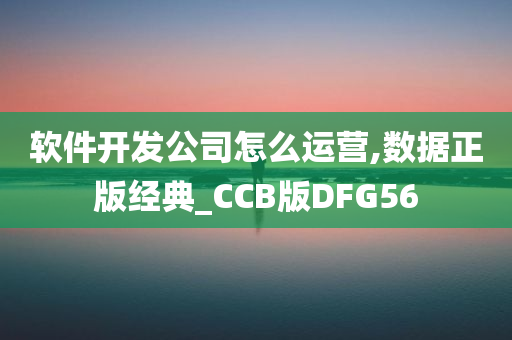 软件开发公司怎么运营,数据正版经典_CCB版DFG56