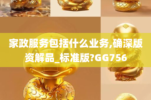 家政服务包括什么业务,确深版资解品_标准版?GG756